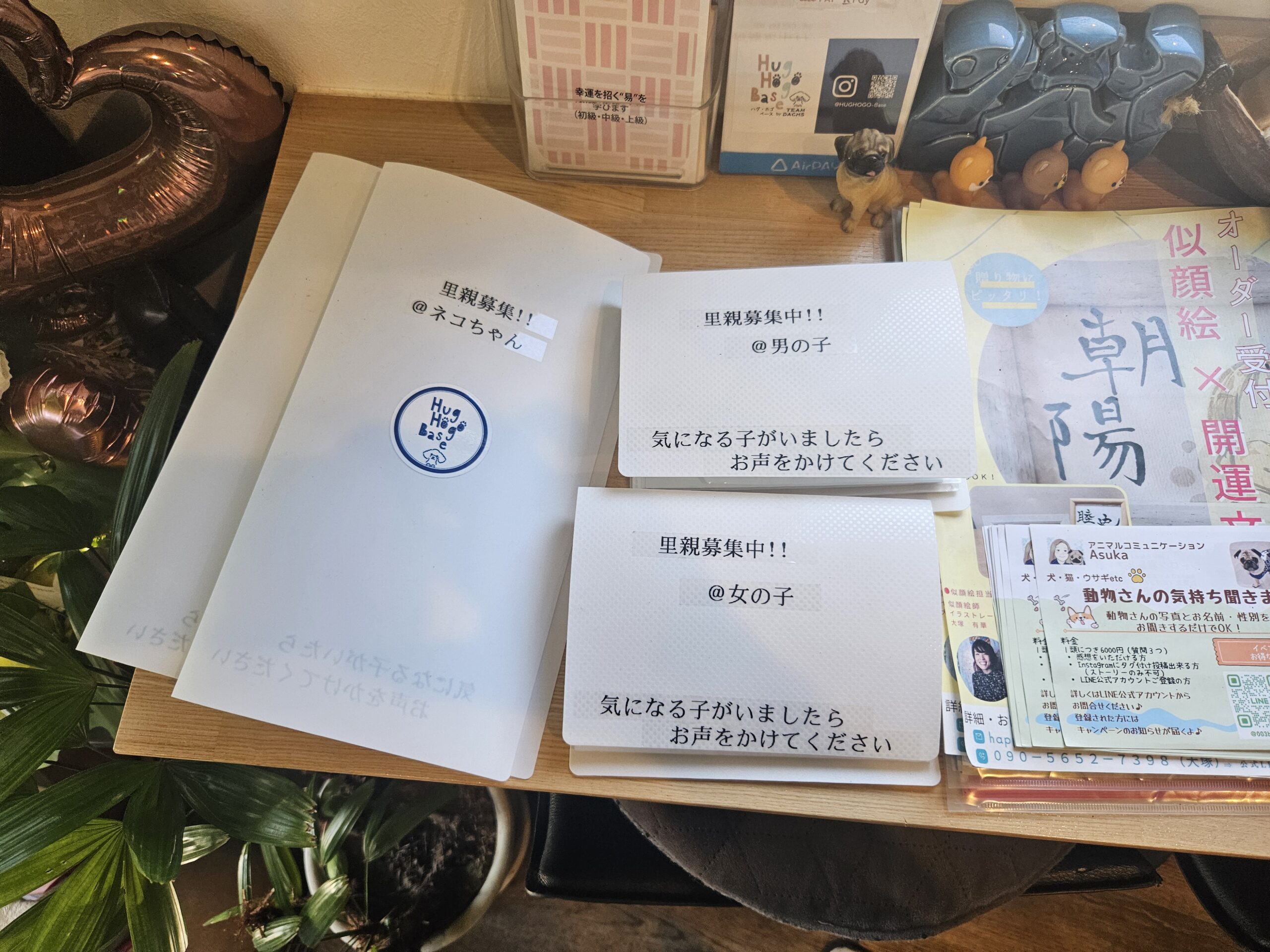ハグホゴベース　店内