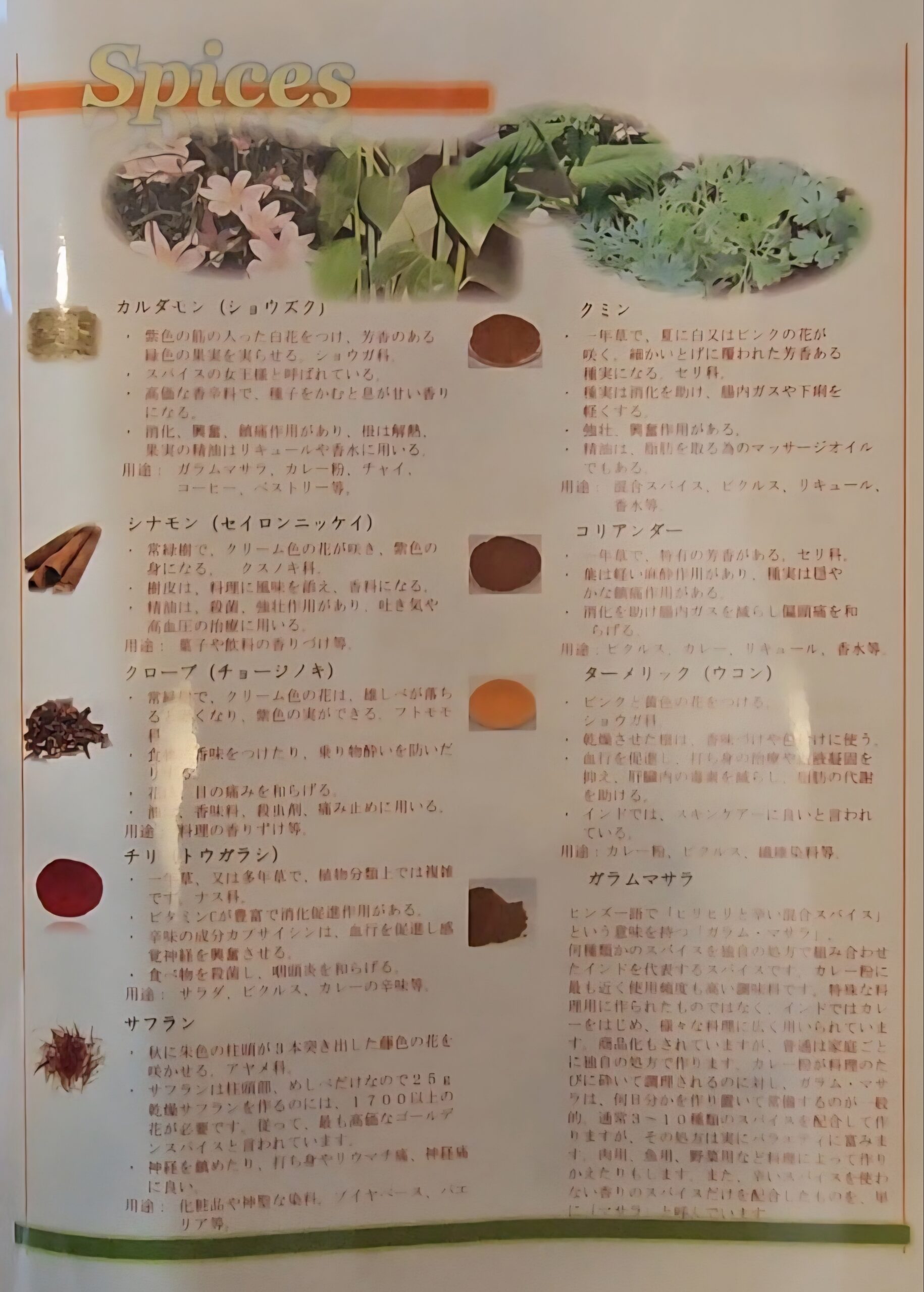 インディゴ メニュー